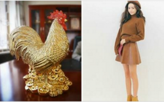 Các con giáp mà mặc quần áo màu này trong ngày đầu năm đi làm nhất định cả năm may mắn và lương thưởng rủng rỉnh, làm công ăn lương cũng đủ giàu!