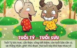 Những cặp con giáp này mà gặp mặt đầu năm thì cả hai sẽ may mắn suốt năm