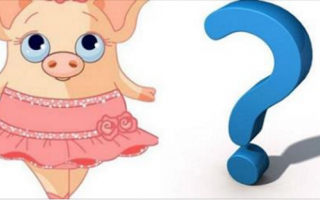 Vì sao ông bà ta luôn nói: Lấy người tuổi hợi để cả đời được sống trong hạnh phúc?