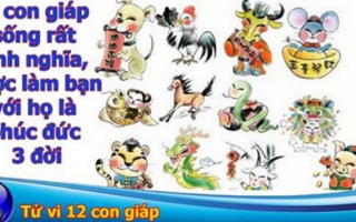 Điểm mặt 4 con giáp sống rất tình nghĩa, ai kết giao được với họ là phúc đức 3 đời