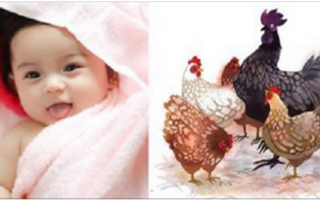 Chúc mừng các Mẹ sinh con thuộc 4 tuổi này thì cha mẹ sẽ gặp được nhiều may mắn