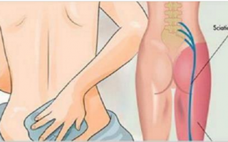 Đau lưng dai dẳn mãi không hết, sử dụng ngay loại rau này chắc chắn sẽ giảm dần và khỏi hẳn