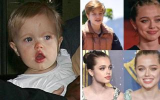Hợp đồng béo bở nếu con gái từng có ý định chuyển giới của Angelina Jolie gật đầu làm người mẫu