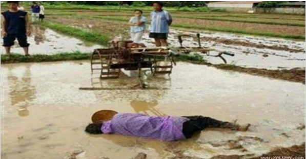 Bạn sẽ phải khóc khi nhìn thấy bức ảnh này