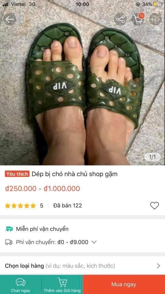 chó, Nguyễn Văn Dúi, bán dép, mua sắm trực tuyến