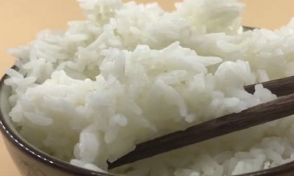 chất gây ung thư; thức ăn để qua đêm